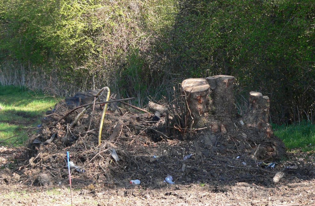 15 damage to valuable old trees.....felled old coppice